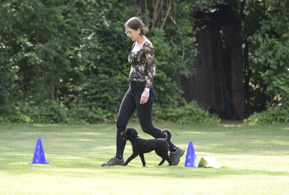 Katharina mit Frieda trainieren Obedience auf dem Hundeplatz